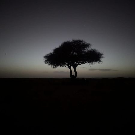Hotel Mhamid Sahara Camp - Mhamid El Ghizlane M'Hamid Zewnętrze zdjęcie