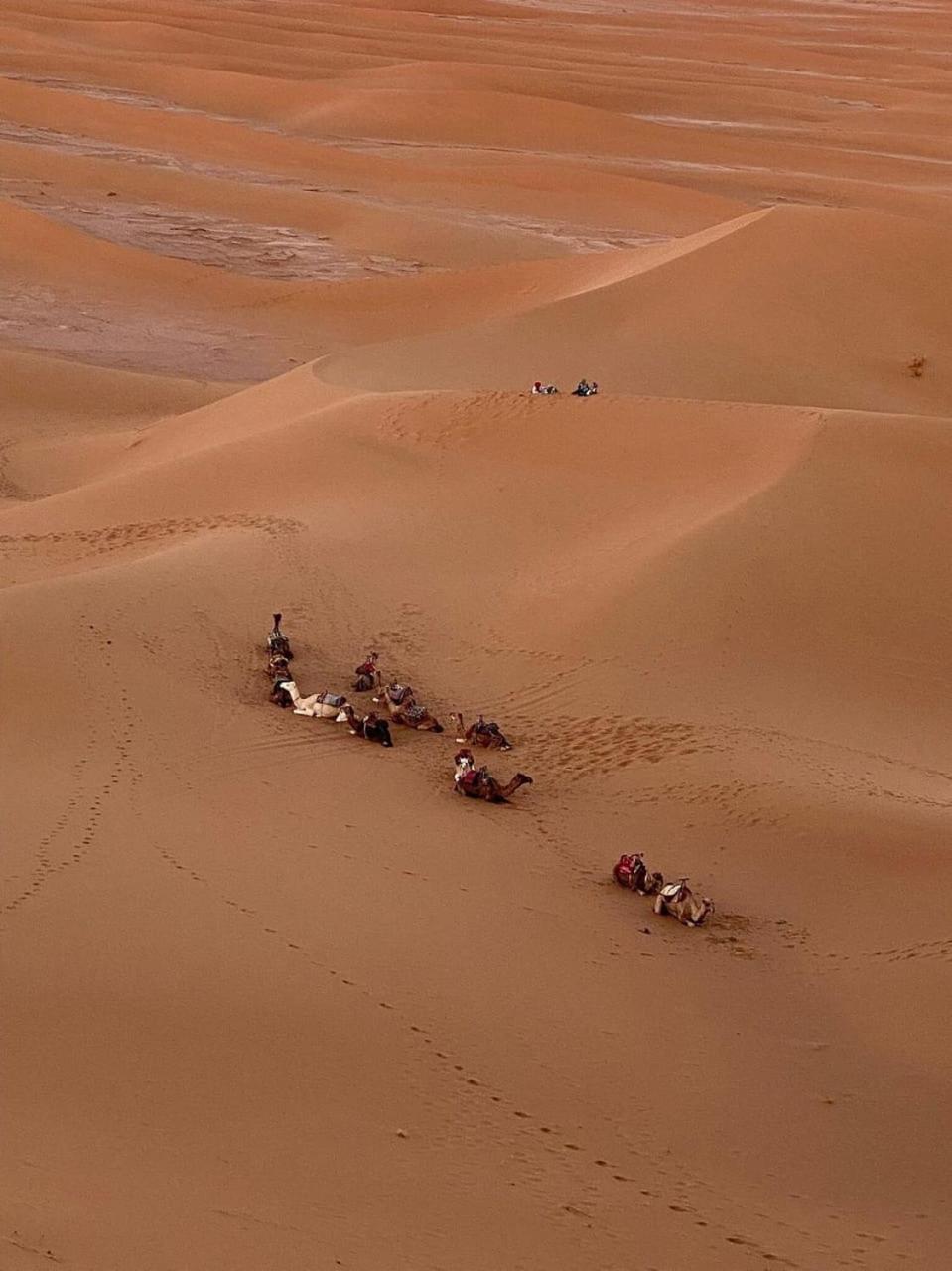 Hotel Mhamid Sahara Camp - Mhamid El Ghizlane M'Hamid Zewnętrze zdjęcie