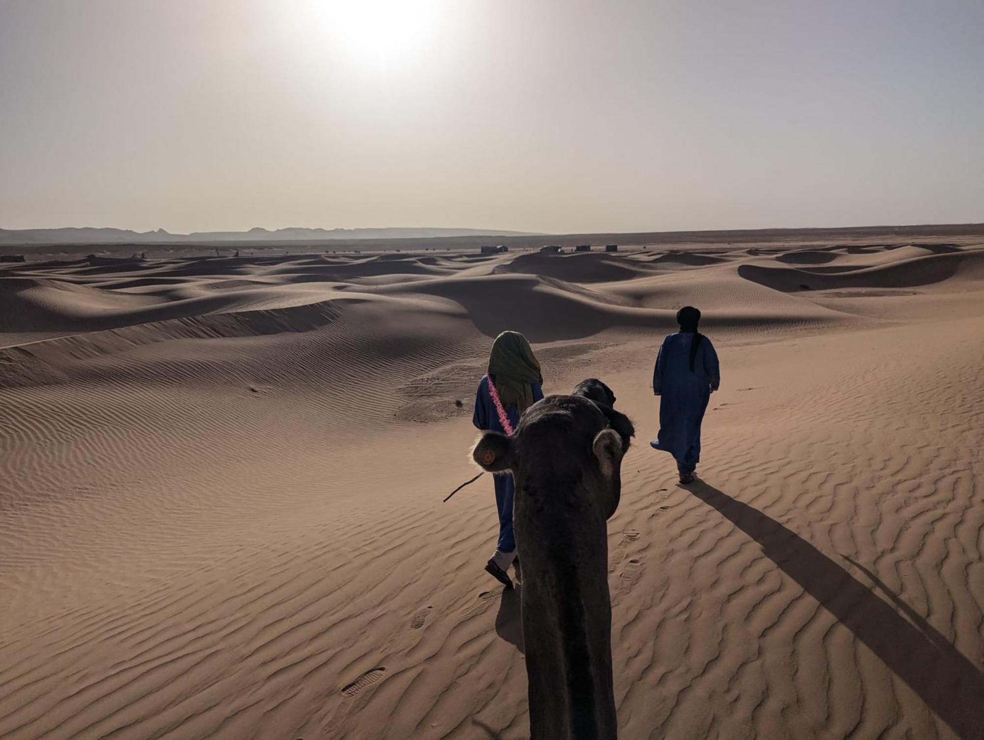 Hotel Mhamid Sahara Camp - Mhamid El Ghizlane M'Hamid Zewnętrze zdjęcie